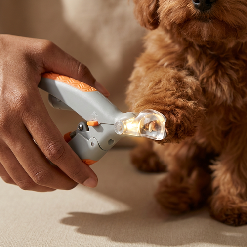 LED Light Pet Nail Clippers - 5X Magnification